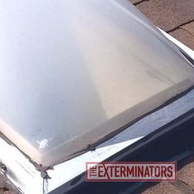 ant preventions by sealing